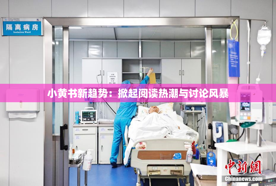 小黄书新趋势：掀起阅读热潮与讨论风暴