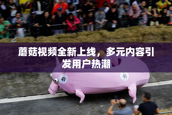 蘑菇视频全新上线，多元内容引发用户热潮
