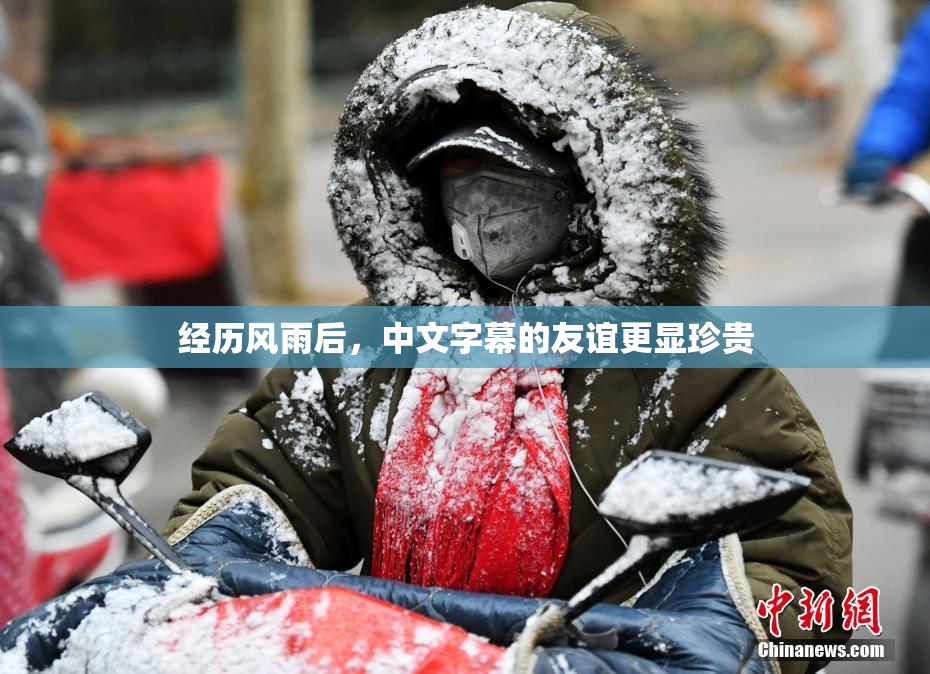 经历风雨后，中文字幕的友谊更显珍贵