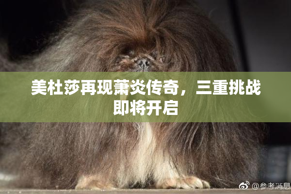 美杜莎再现萧炎传奇，三重挑战即将开启