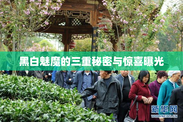 黑白魅魔的三重秘密与惊喜曝光