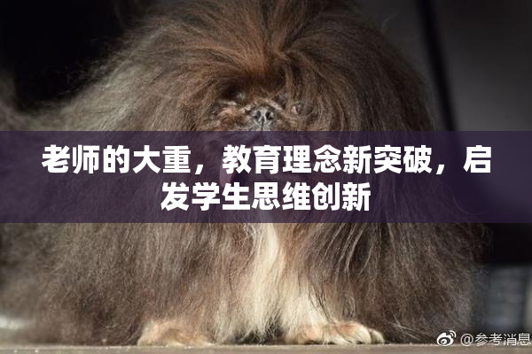 老师的大重，教育理念新突破，启发学生思维创新