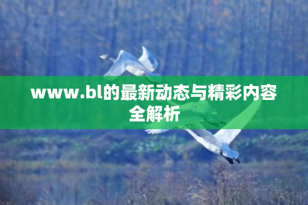 www.bl的最新动态与精彩内容全解析