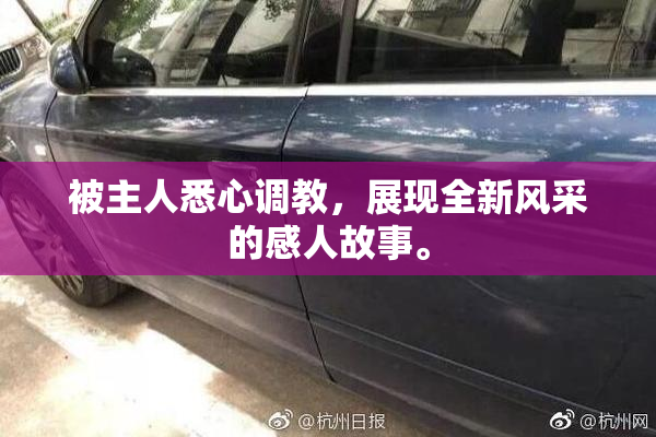 被主人悉心调教，展现全新风采的感人故事。
