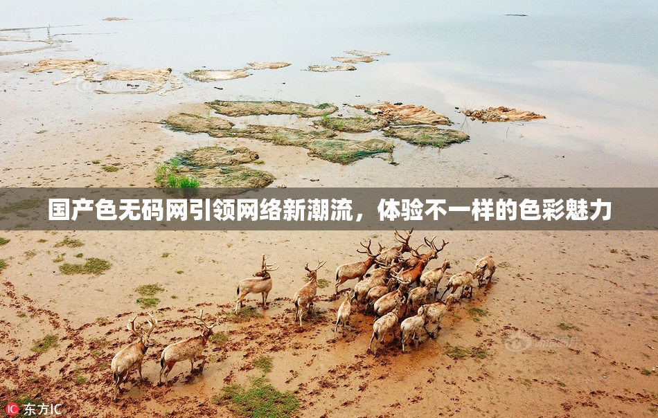 国产色无码网引领网络新潮流，体验不一样的色彩魅力