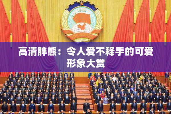 高清胖熊：令人爱不释手的可爱形象大赏