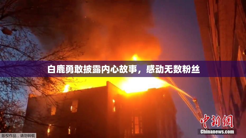 白鹿勇敢披露内心故事，感动无数粉丝