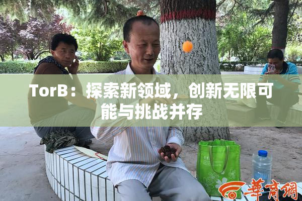 TorB：探索新领域，创新无限可能与挑战并存