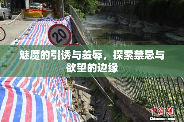 魅魔的引诱与羞辱，探索禁忌与欲望的边缘