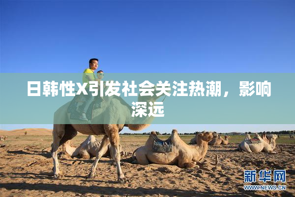 日韩性X引发社会关注热潮，影响深远
