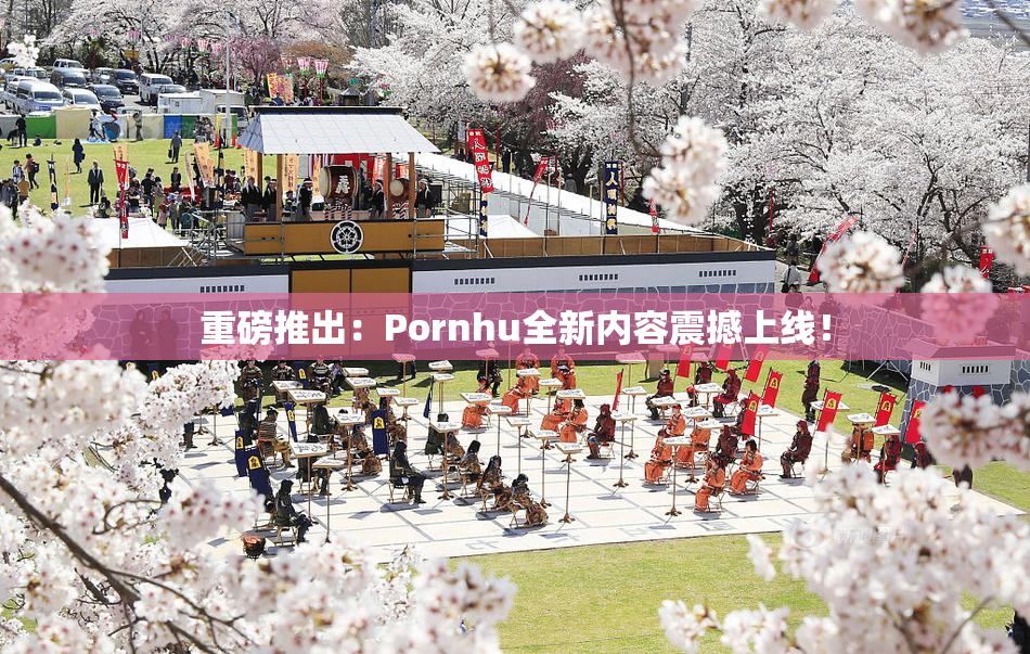 重磅推出：Pornhu全新内容震撼上线！