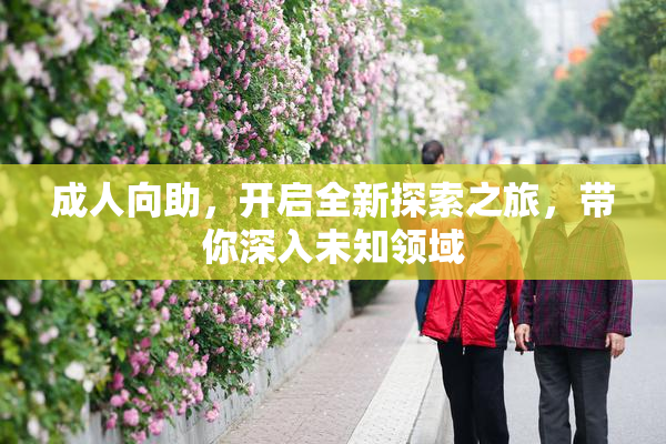 成人向助，开启全新探索之旅，带你深入未知领域