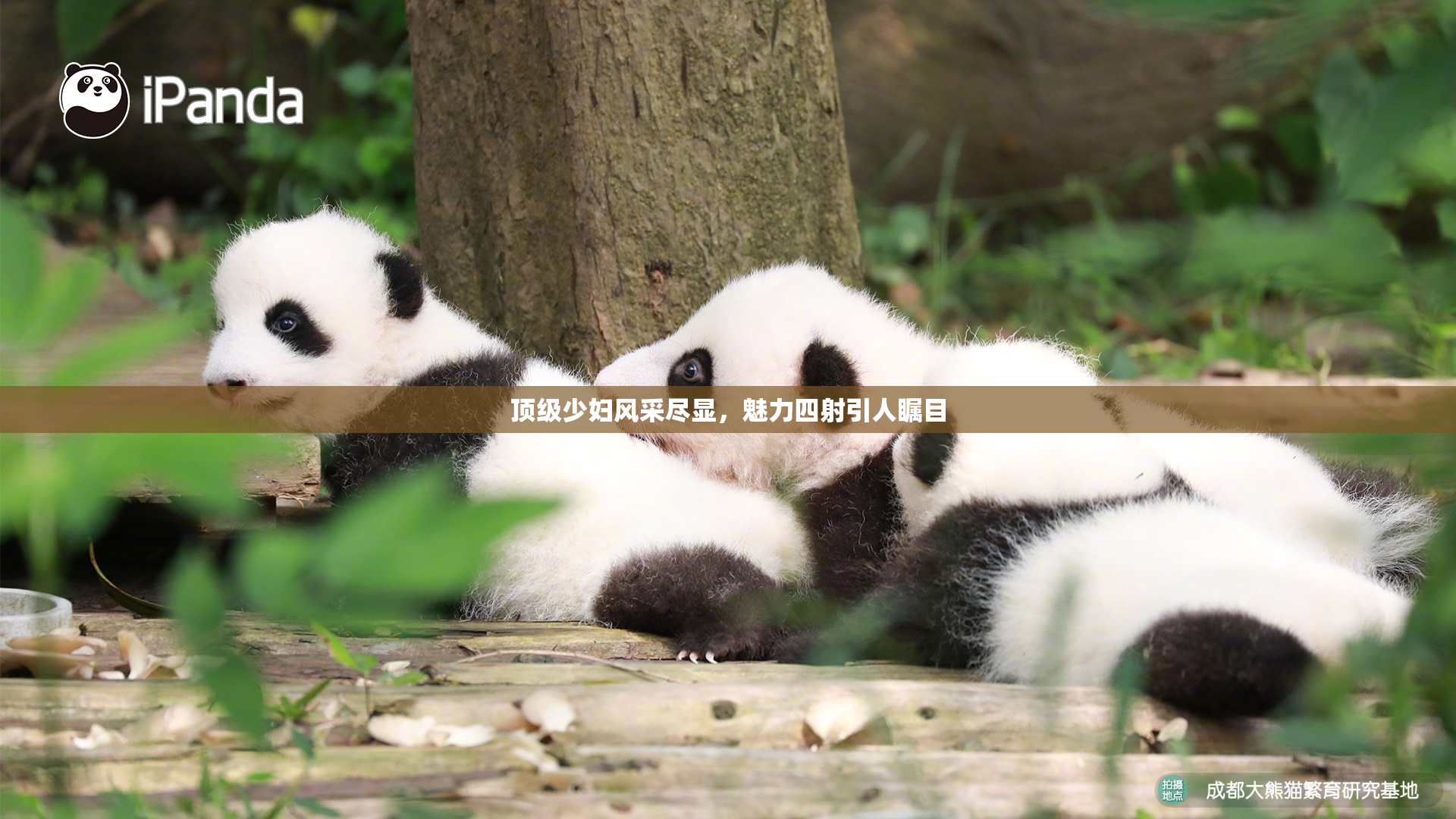 顶级少妇风采尽显，魅力四射引人瞩目