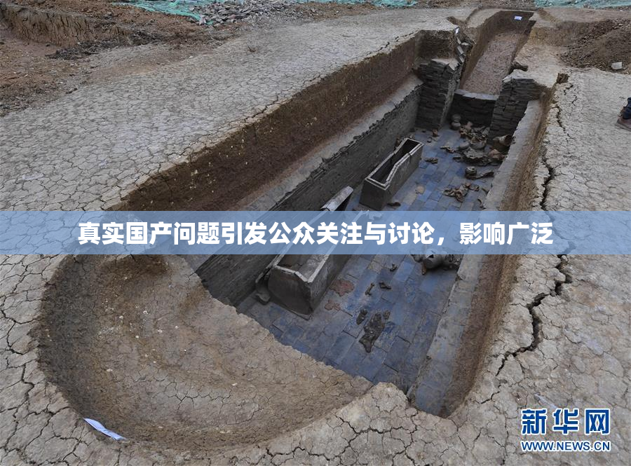真实国产问题引发公众关注与讨论，影响广泛