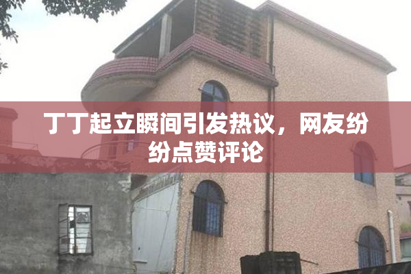 丁丁起立瞬间引发热议，网友纷纷点赞评论