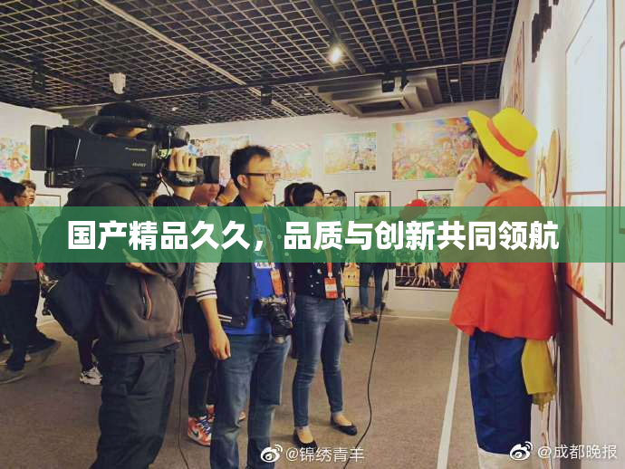 国产精品久久，品质与创新共同领航