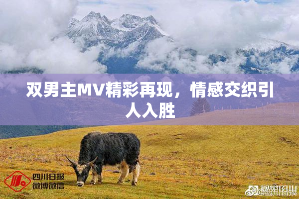 双男主MV精彩再现，情感交织引人入胜
