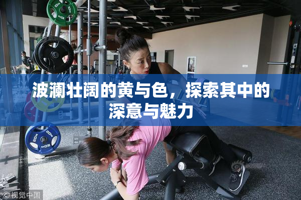 波澜壮阔的黄与色，探索其中的深意与魅力