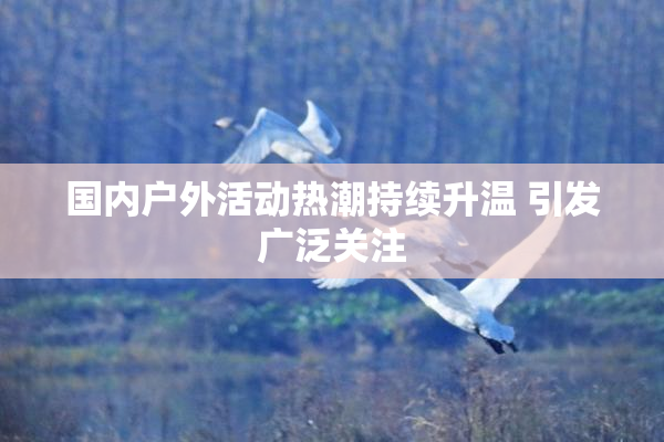 国内户外活动热潮持续升温 引发广泛关注