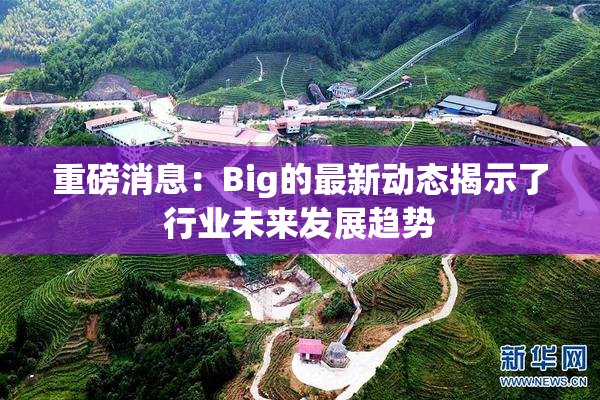 重磅消息：Big的最新动态揭示了行业未来发展趋势