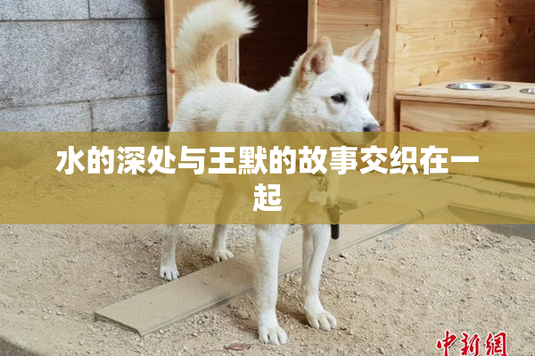 水的深处与王默的故事交织在一起