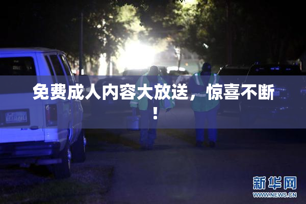 免费成人内容大放送，惊喜不断！