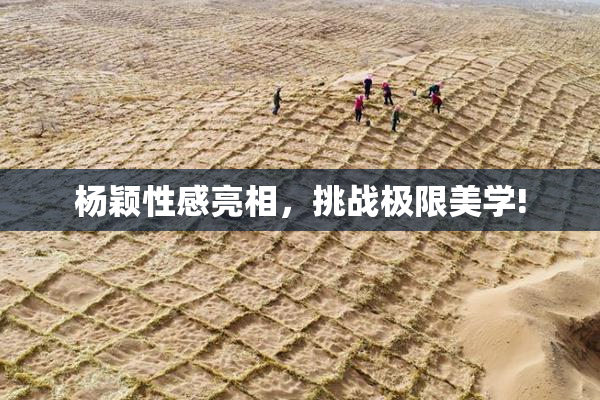 杨颖性感亮相，挑战极限美学!