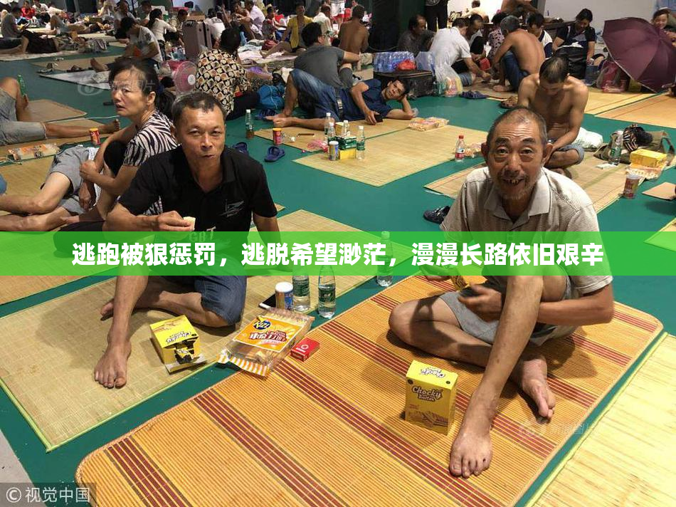 逃跑被狠惩罚，逃脱希望渺茫，漫漫长路依旧艰辛