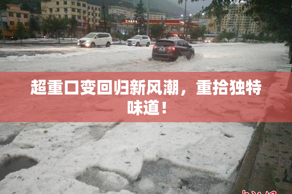 超重口变回归新风潮，重拾独特味道！