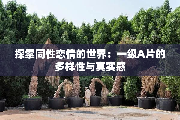 探索同性恋情的世界：一级A片的多样性与真实感