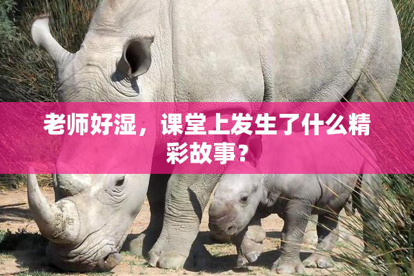 老师好湿，课堂上发生了什么精彩故事？