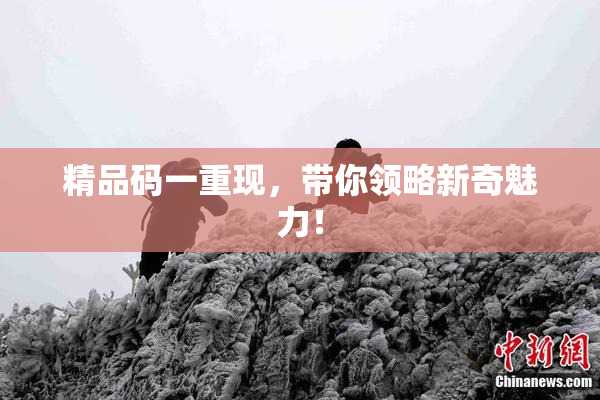 精品码一重现，带你领略新奇魅力！