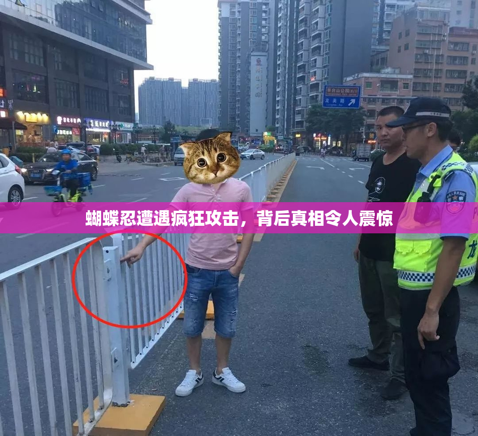 蝴蝶忍遭遇疯狂攻击，背后真相令人震惊