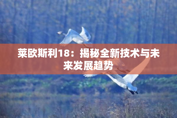 莱欧斯利18：揭秘全新技术与未来发展趋势