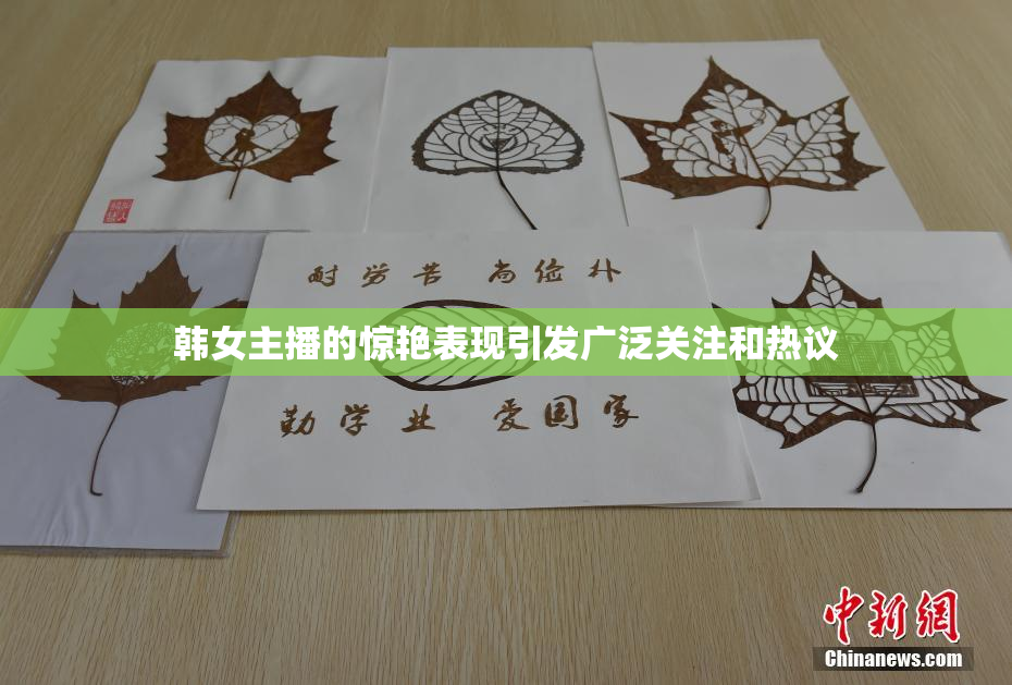 韩女主播的惊艳表现引发广泛关注和热议