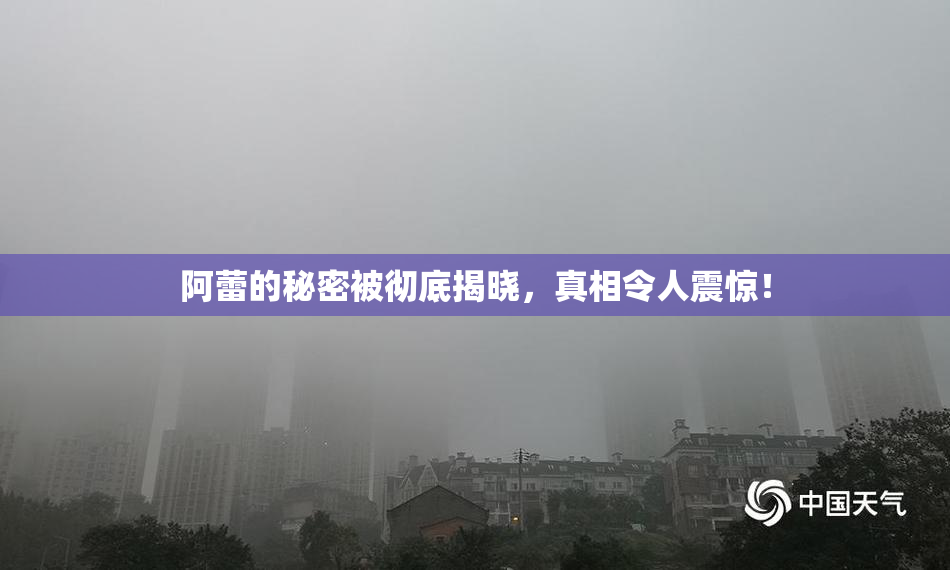阿蕾的秘密被彻底揭晓，真相令人震惊！