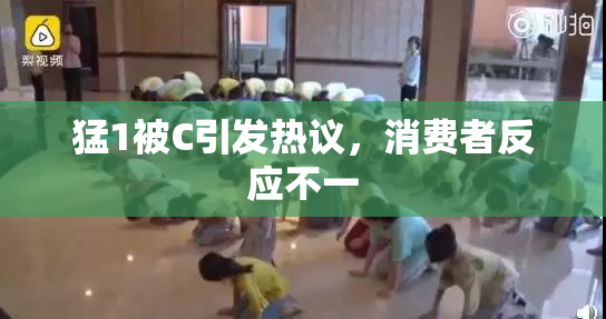 猛1被C引发热议，消费者反应不一