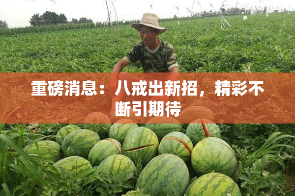 重磅消息：八戒出新招，精彩不断引期待