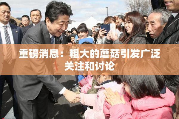 重磅消息：粗大的蘑菇引发广泛关注和讨论