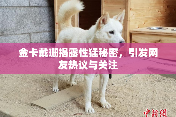 金卡戴珊揭露性猛秘密，引发网友热议与关注