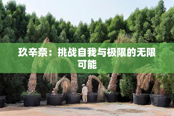 玖辛奈：挑战自我与极限的无限可能
