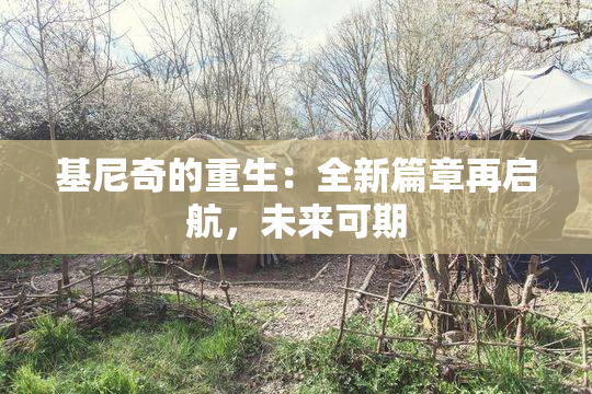 基尼奇的重生：全新篇章再启航，未来可期