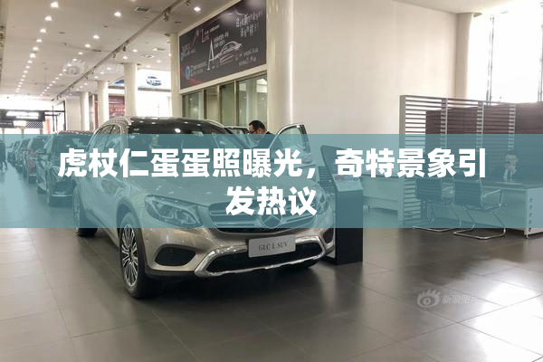 虎杖仁蛋蛋照曝光，奇特景象引发热议