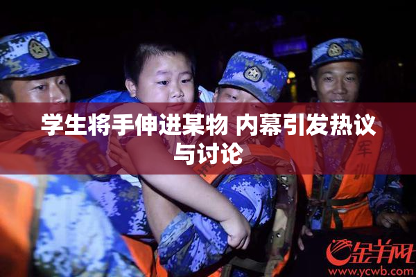 学生将手伸进某物 内幕引发热议与讨论