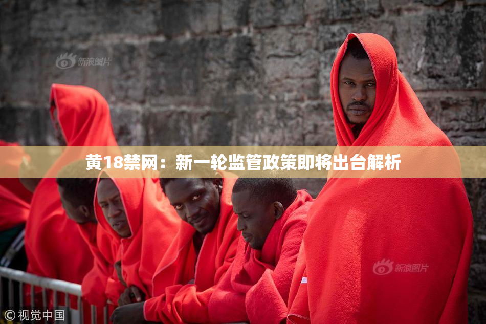 黄18禁网：新一轮监管政策即将出台解析