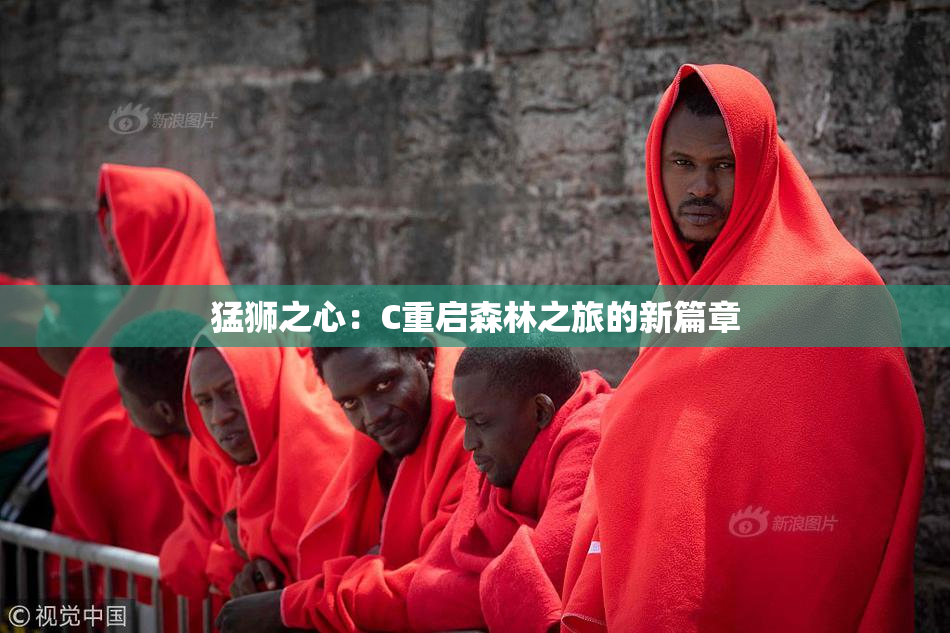 猛狮之心：C重启森林之旅的新篇章