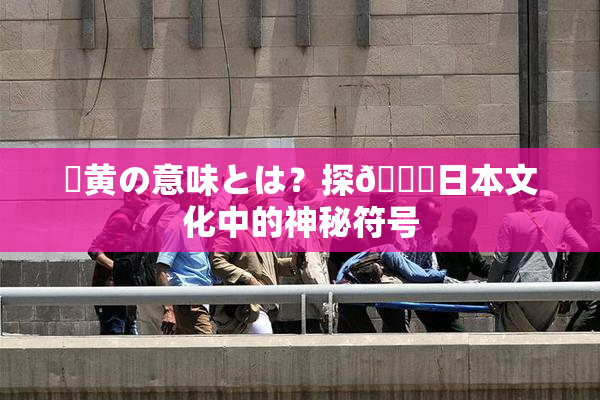 ✿黄の意味とは？探🌃日本文化中的神秘符号