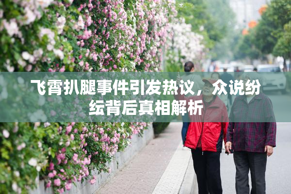 飞霄扒腿事件引发热议，众说纷纭背后真相解析