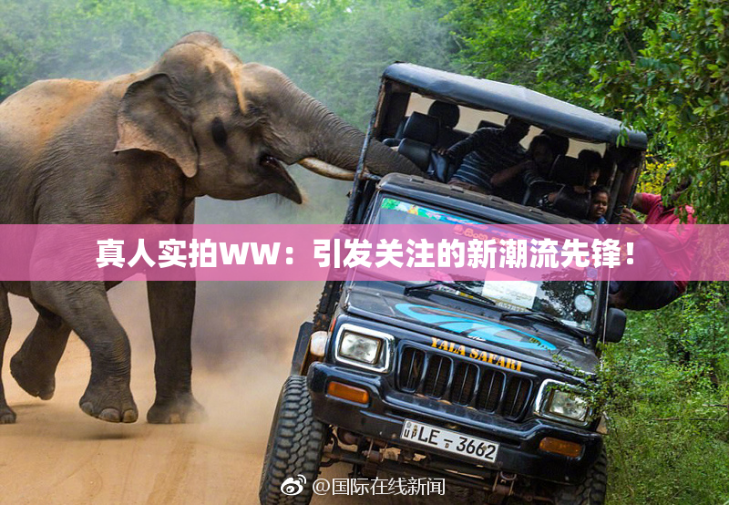 真人实拍WW：引发关注的新潮流先锋！
