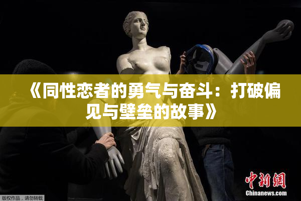《同性恋者的勇气与奋斗：打破偏见与壁垒的故事》